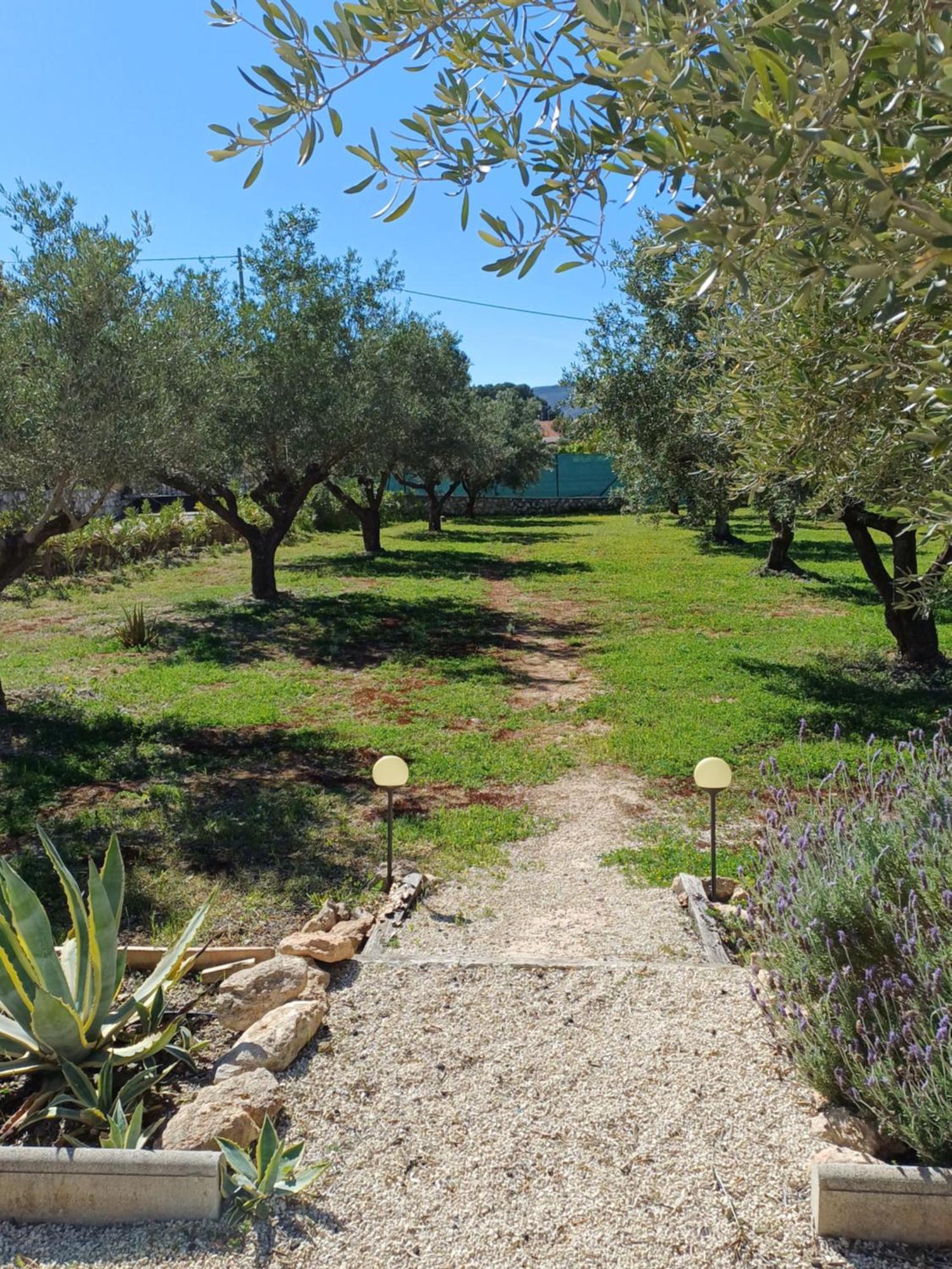 B&B Casa Vitalidad Ontinyent Exteriér fotografie
